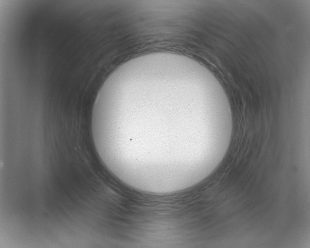 X0000073830701200608101002