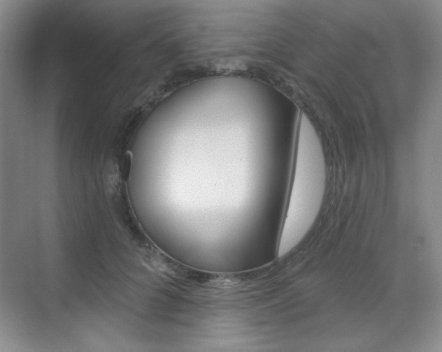 X0000073830704200608101001