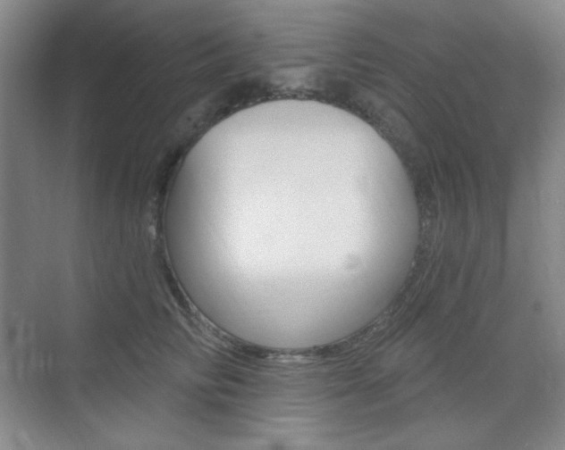 X0000073830710200608101001