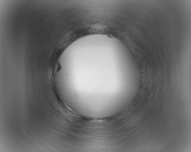 X0000073830711200608101001