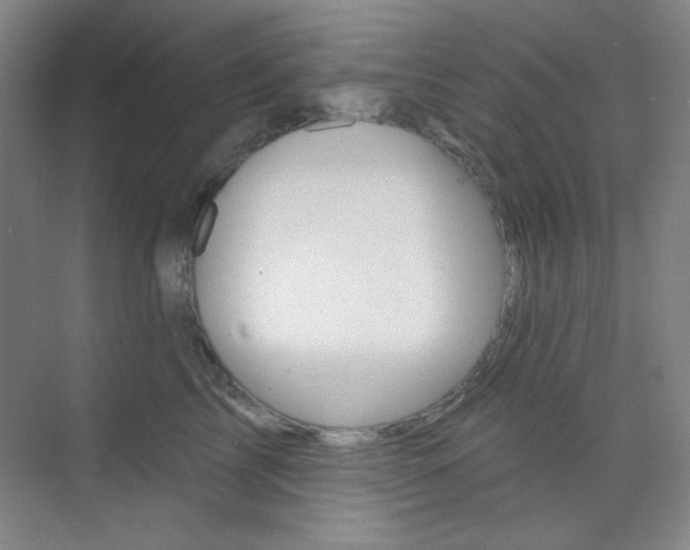 X0000073830713200608101001