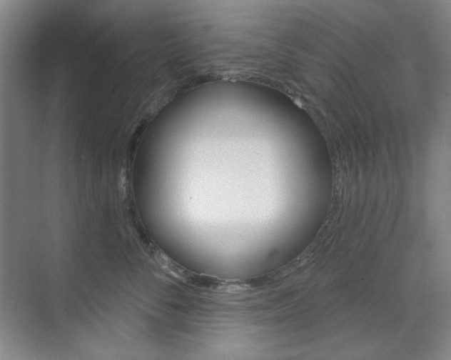 X0000073830716200608101001
