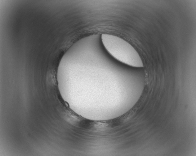 X0000073830718200608101001