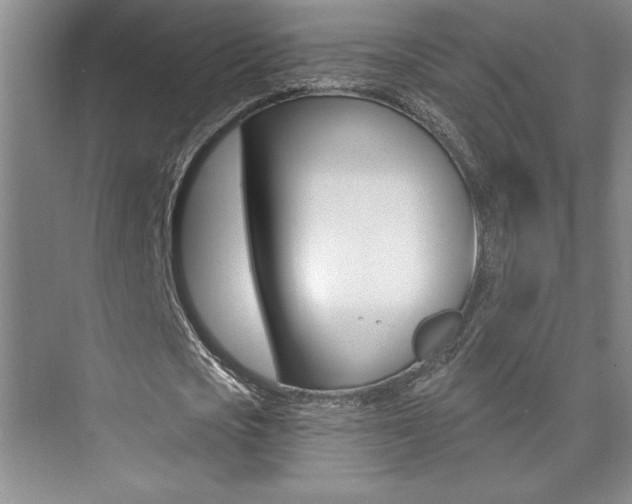X0000073830721200608101000