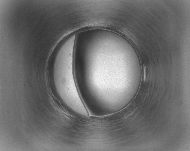 X0000073830723200608101000