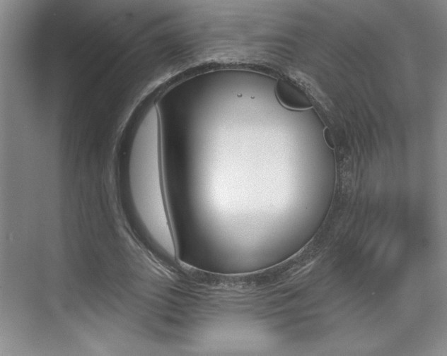 X0000073830727200608101000