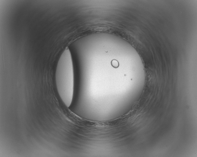 X0000073830745200608101001