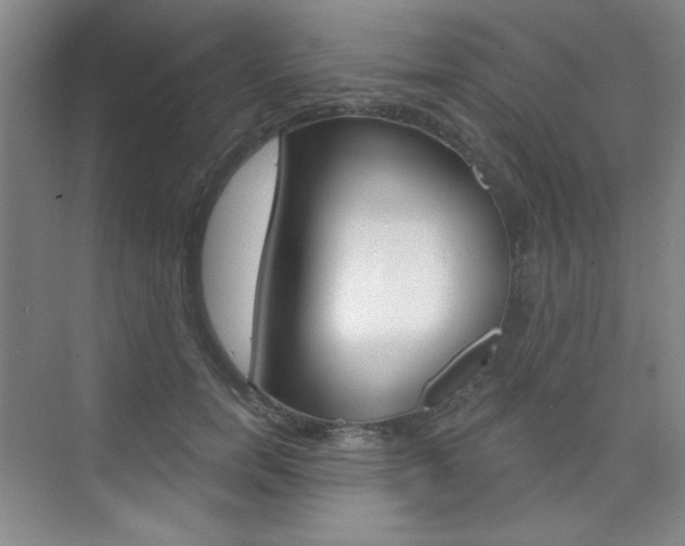 X0000073830750200608101001