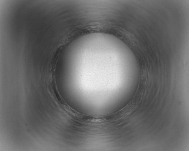X0000073830751200608101001