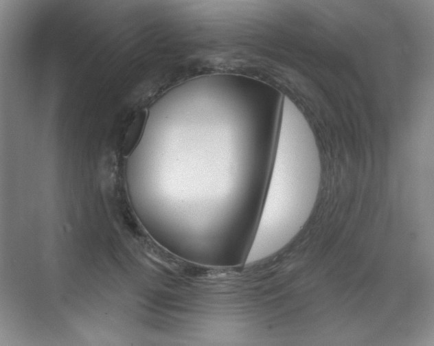 X0000073830752200608101001