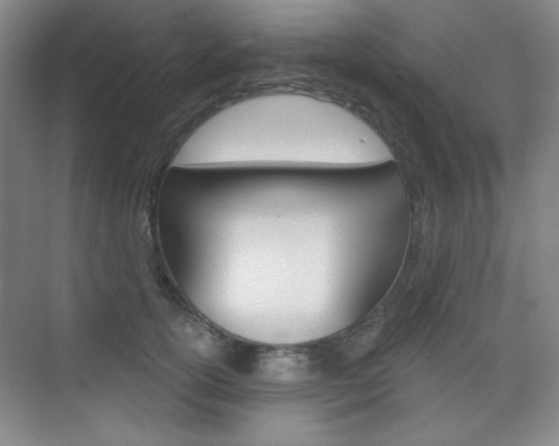 X0000073830754200608101001