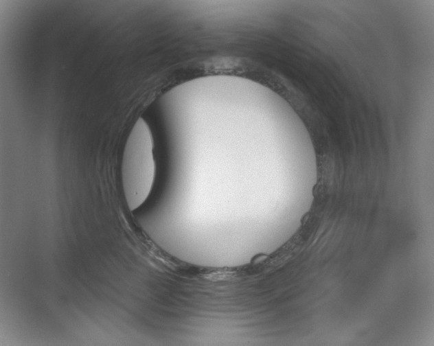 X0000073830761200608101001