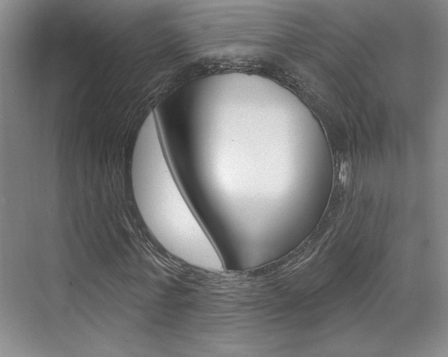 X0000073830771200608101000
