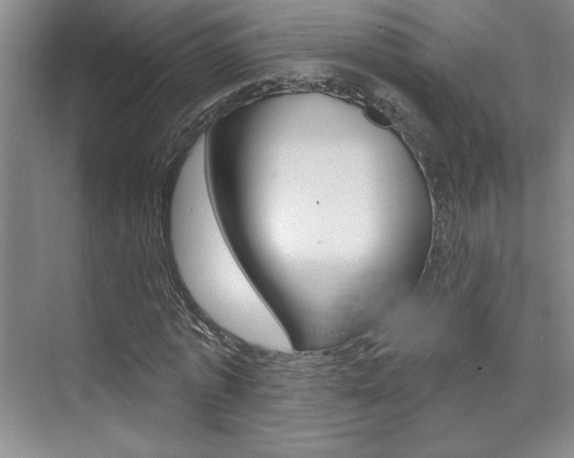 X0000073830773200608101000