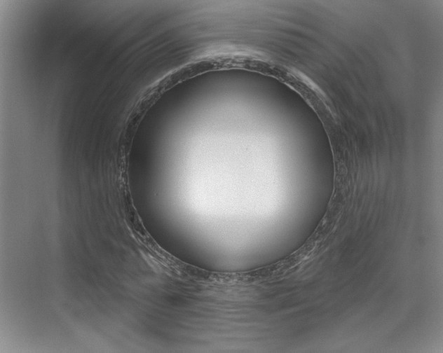 X0000073830775200608101000