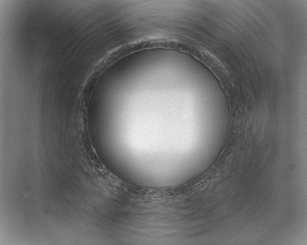 X0000073830776200608101000