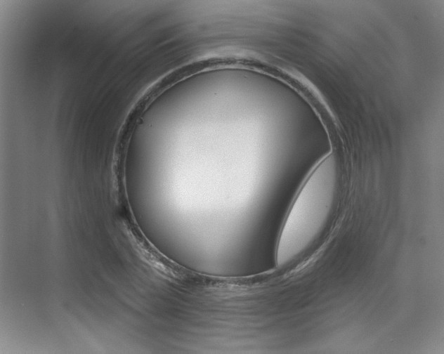 X0000073830783200608101000