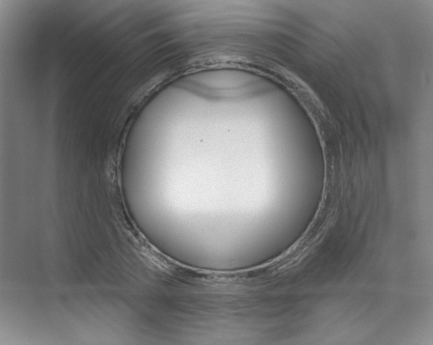 X0000073830785200608101000