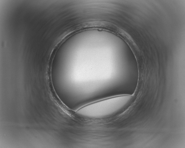 X0000073830786200608101000