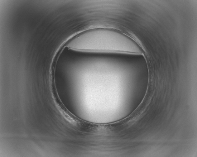 X0000073830787200608101000