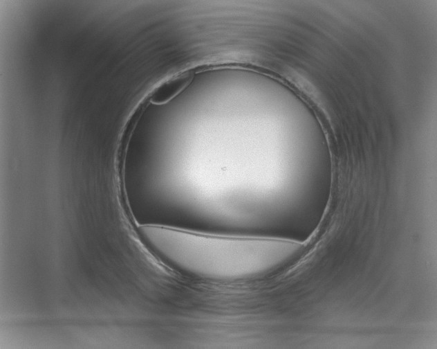 X0000073830789200608101000