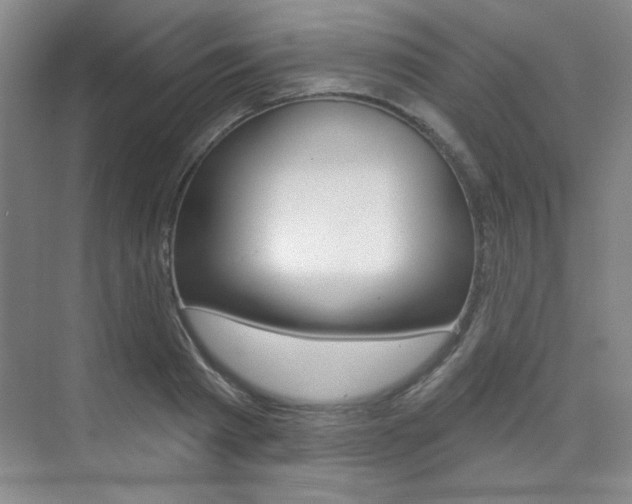X0000073830793200608101000