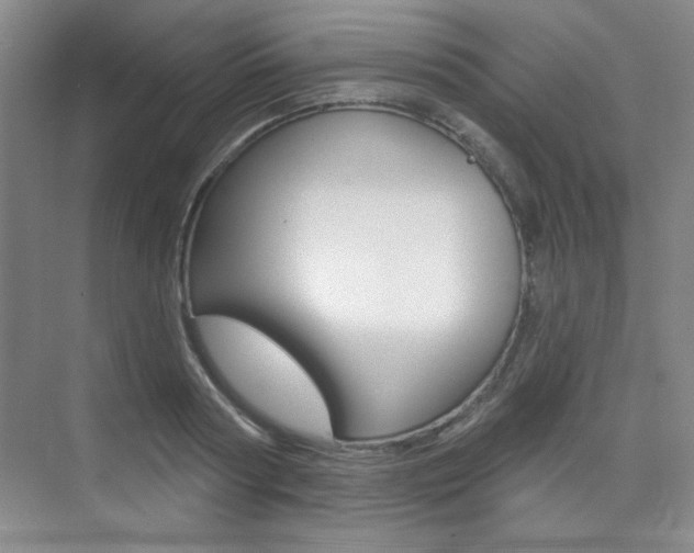X0000073830794200608101000