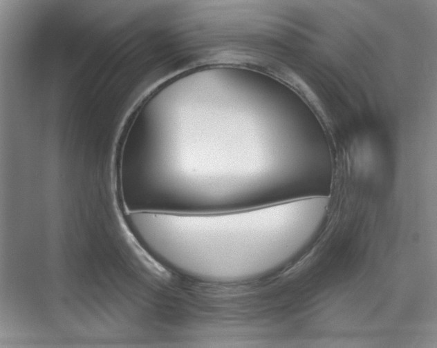 X0000073830795200608101000