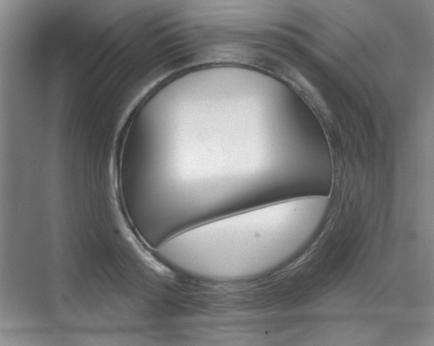 X0000073830796200608101000