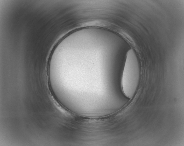 X0000073830800200608101000