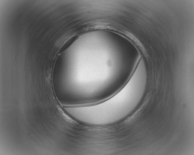 X0000073830801200608101000