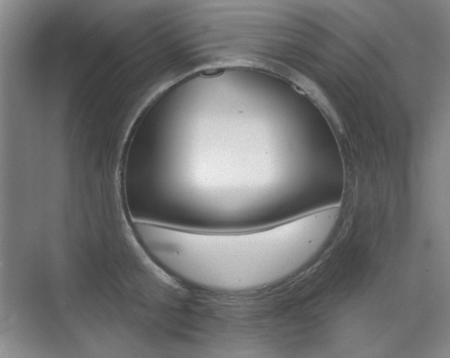 X0000073830805200608101000