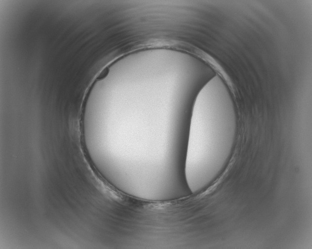 X0000073830810200608101000