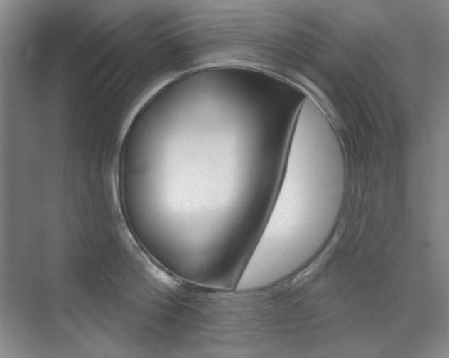 X0000073830812200608101000