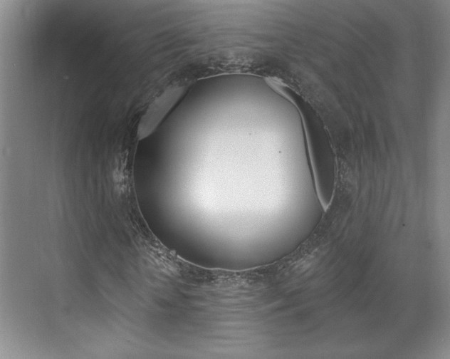 X0000073830818200608100959