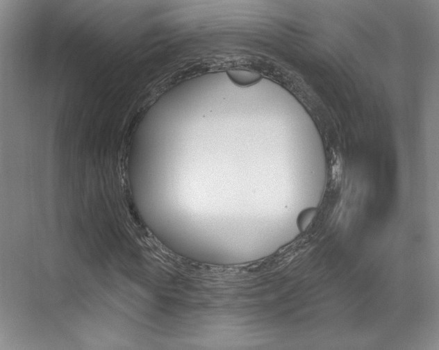 X0000073830819200608100959