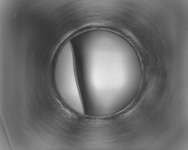 X0000073830829200608100959