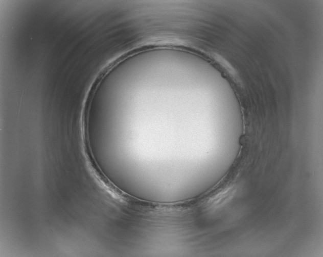 X0000073830840200608100959
