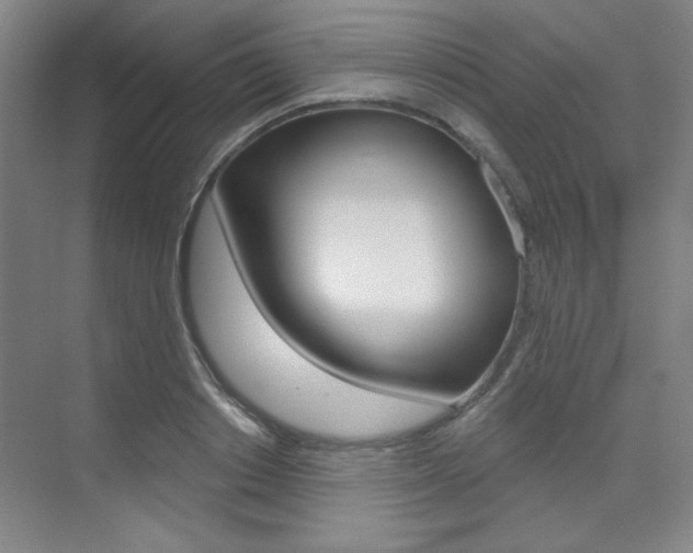 X0000073830842200608100959