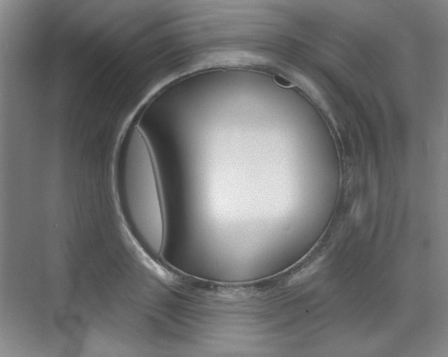 X0000073830843200608100959