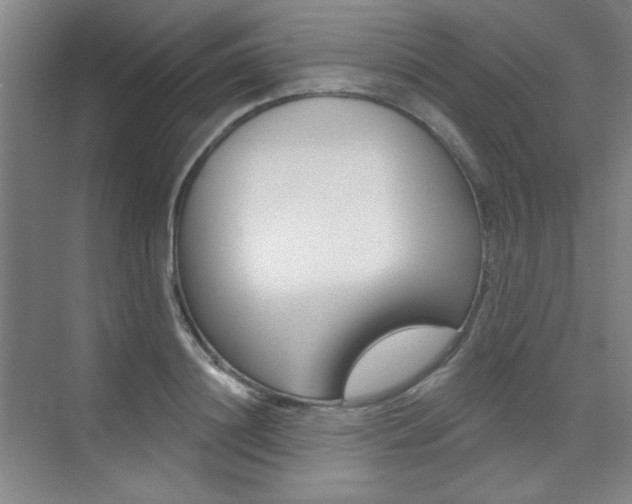 X0000073830844200608100959