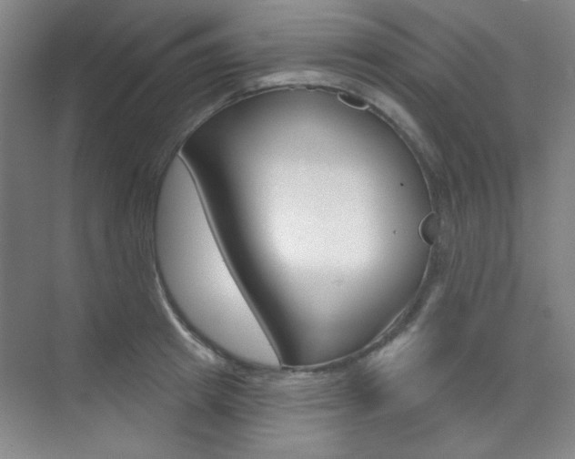X0000073830849200608100959