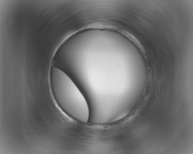 X0000073830855200608100959