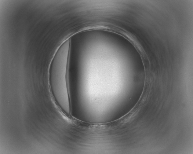 X0000073830858200608100959