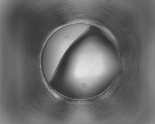 X0000073830862200608101000