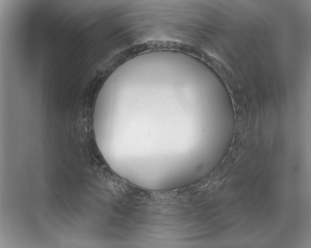 X0000073830870200608100959