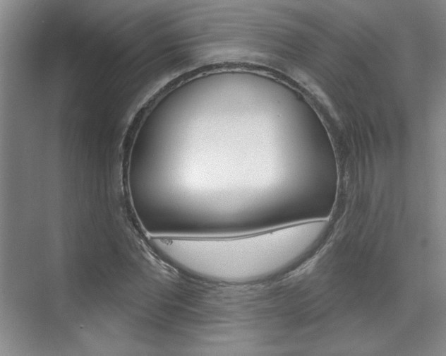 X0000073830877200608100959