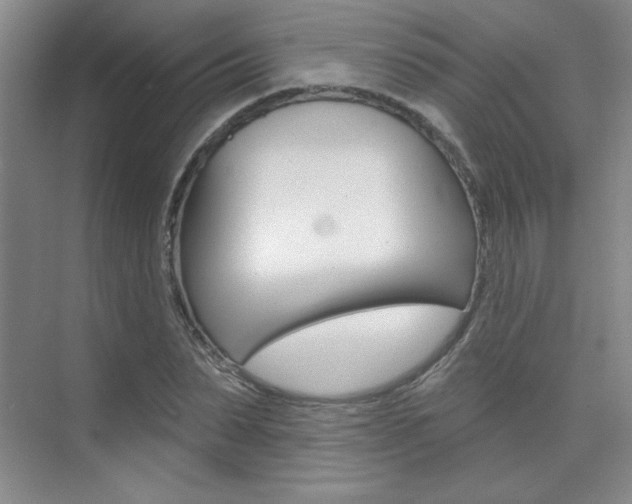X0000073830879200608100958
