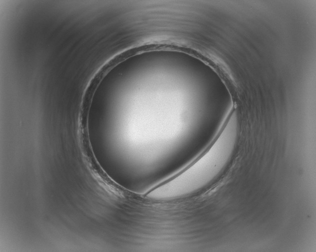 X0000073830880200608100958