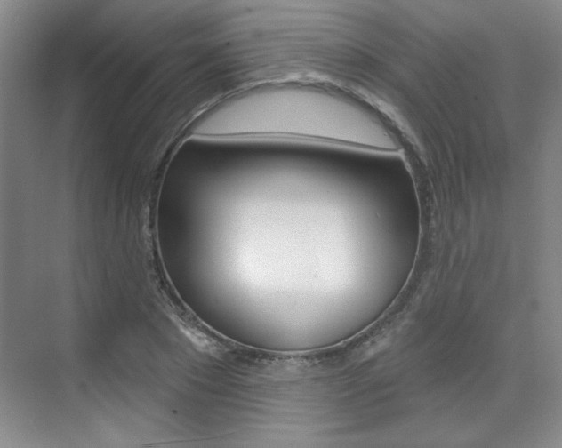 X0000073830881200608100958